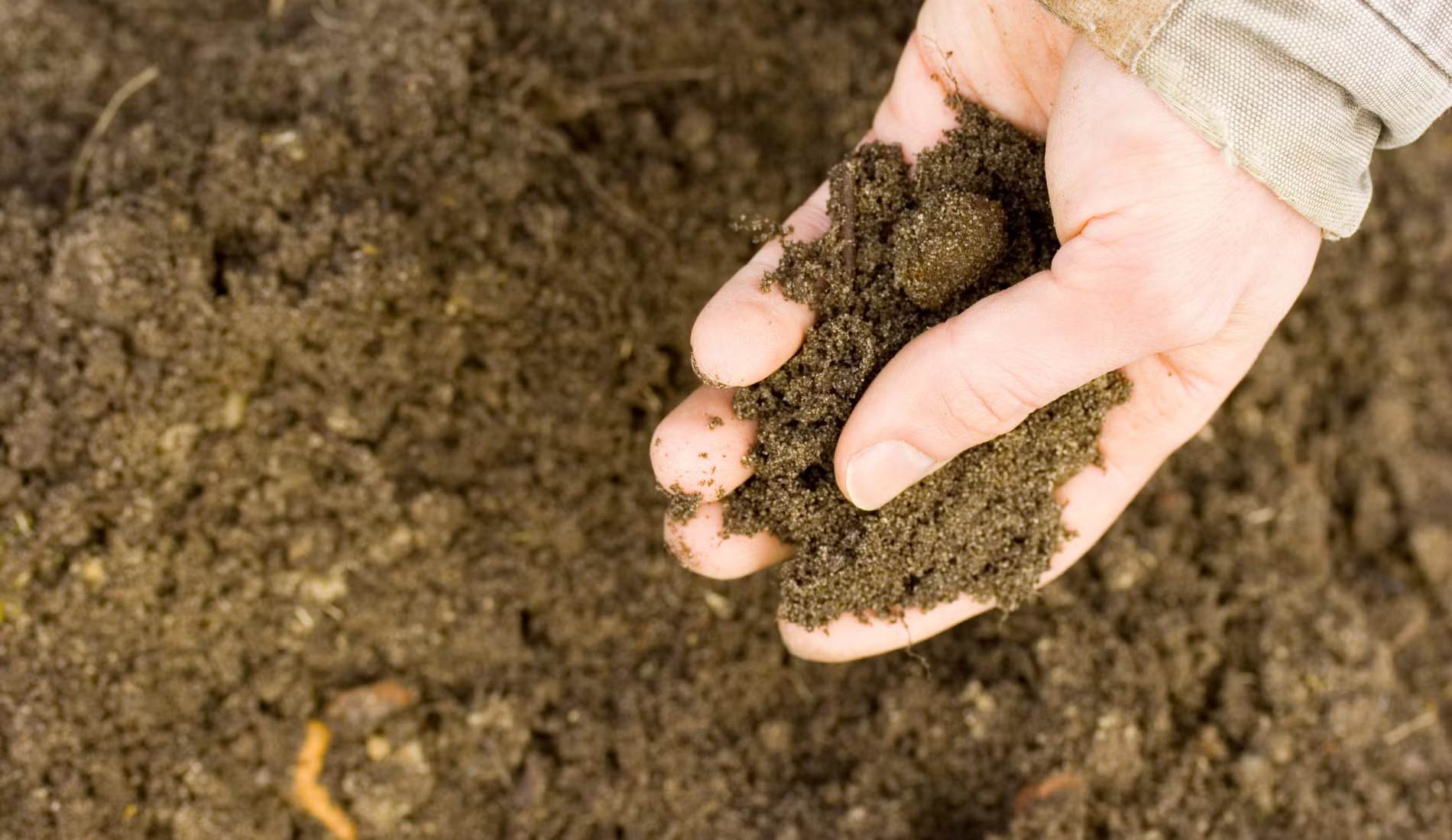 Soil Testing